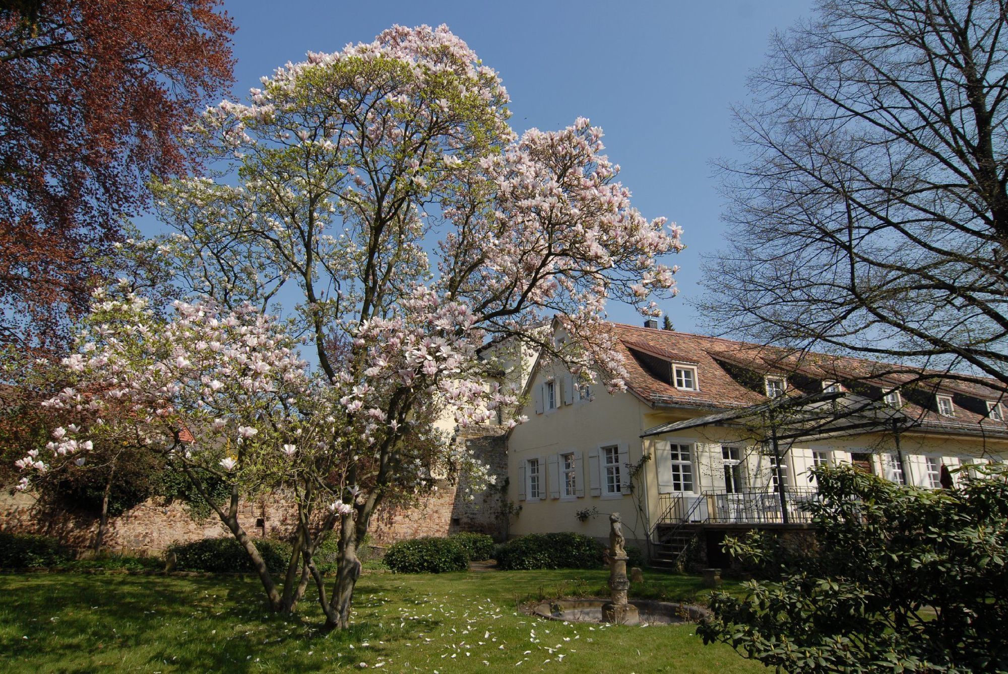 Hotel Ketschauer Hof Deidesheim Exteriör bild